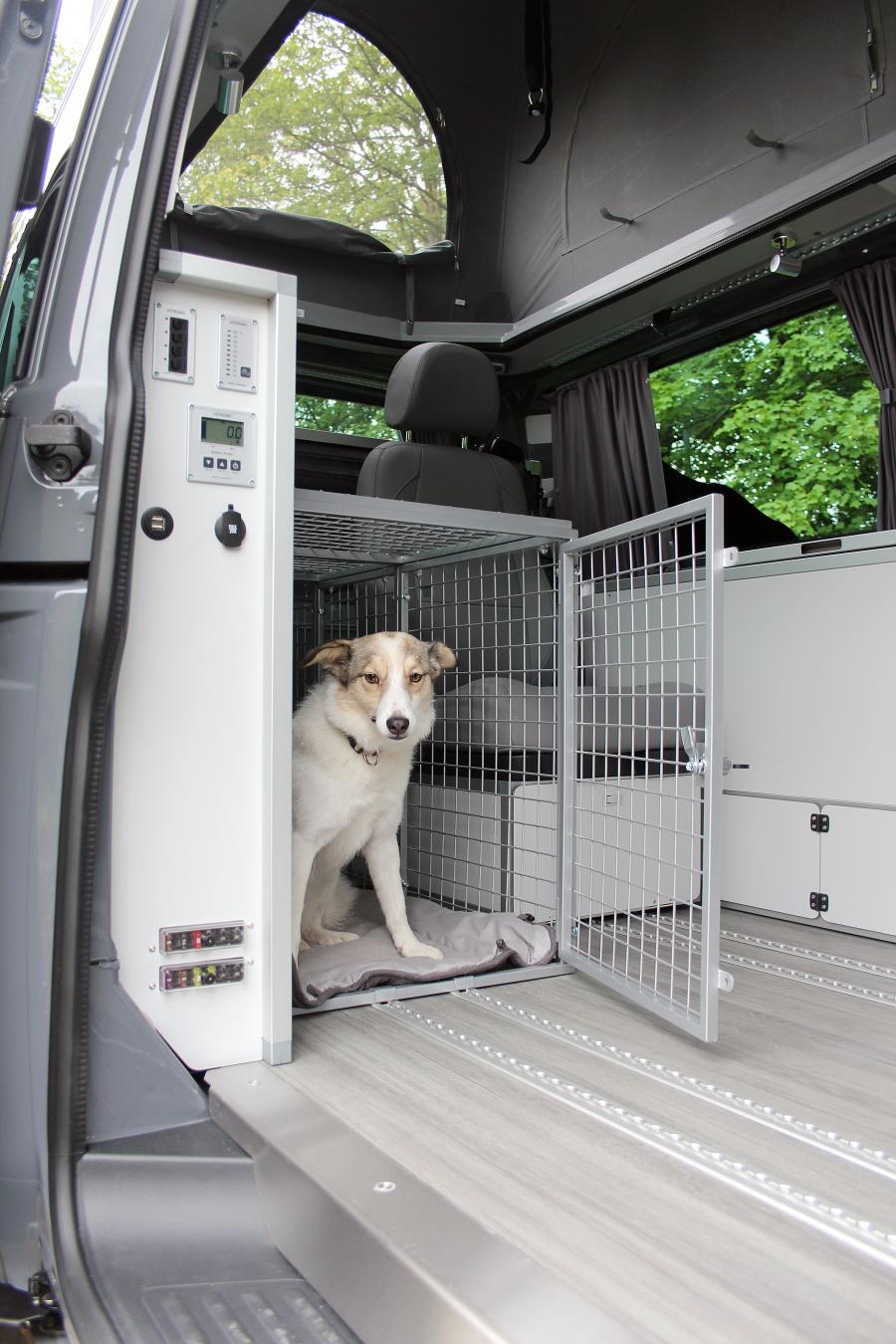 Интерьер Volkswagen Dogscamper (T6) 2017 года  (фото 2 из 9)